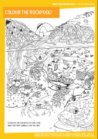 Rockpool Colouring Sheet from Exmoor Resource Pack