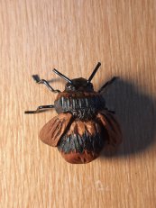 bumble bee carved from avocado stone